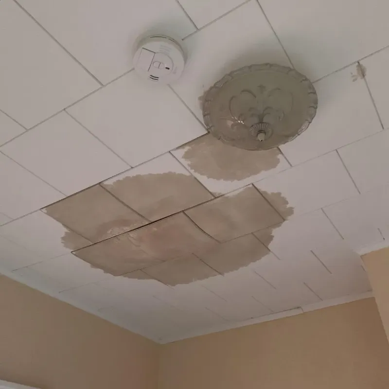 Ceiling Water Damage Repair in Ingalls, IN