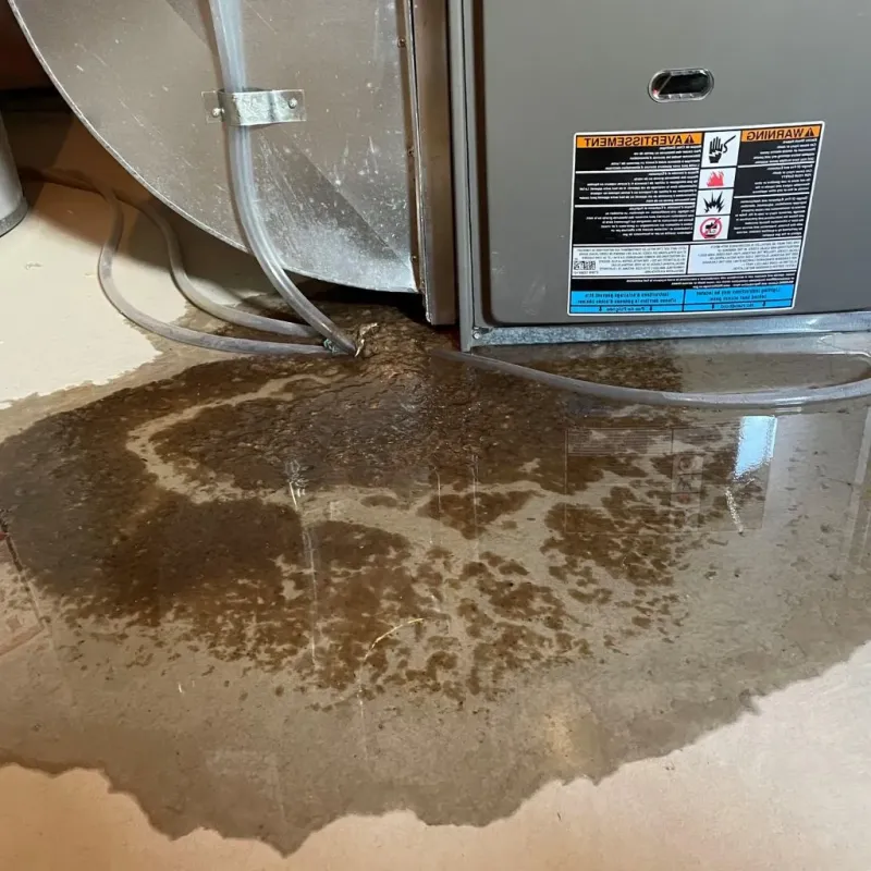 Pipe Burst and Leak Restoration in Ingalls, IN