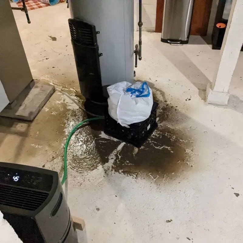 Sewage Backup Cleanup Service in Ingalls, IN